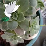Hilda Meyer Reeves - @hildameyerreeves - Instagram