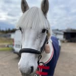Hilda Nilsson - @hilda.nilsson14 - Instagram