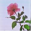 hilda_ok - @hilda_ok - TikTok