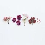 Hilda Queen - @hilda.queen.129 - Instagram