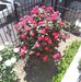 Hilda Quezada - Facebook