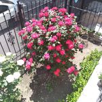 Hilda Quezada - @hilda.quezada.921 - Instagram
