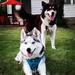 Hilda&Ralph - @hilda.ralph - Instagram