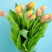 Hilda Rascon - Facebook