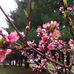 Hilda Marie Renner - Facebook