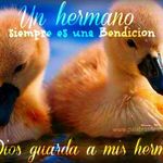 Hilda Rincon - @hilda.rincon.752 - Instagram