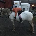 Hilda Ringdahl - @hildaringdahl - Instagram