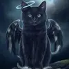 Hilda Roche - @hilda.52 - TikTok