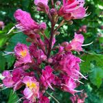 Hilda Sheehan - @hildaschool20 - Instagram