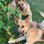 Hilda Clewis Simmons - @hildasimmons34 - Instagram