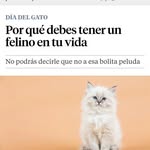 Hilda Simon - @hilda.simon.31337 - Instagram