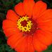 Hilda Solano - Facebook