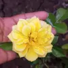 Hilda Sotelo - @hildasotelo34 - TikTok