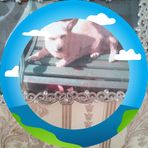 Hilda Todd - Facebook