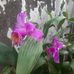Hilda Ugalde - Facebook