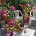 Hilda Ugalde Ugalde - Facebook