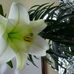Hilda Ferner - Facebook