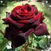 Hilda Valter - Facebook