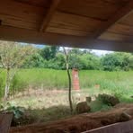 Hilda Vila Mamani - Facebook