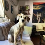Hilda Waller Xavier - @wallerxavierhilda - Instagram