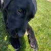 hildawall123456 - @hildawall123456 - TikTok