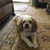 Hilda Webster - Facebook