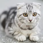Hilda J. Wiley - @hildaj.wiley - Instagram