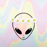 Hilda - @hilda_the_wolf_123 - Instagram