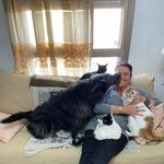 Hilda Wolf Csongovai - @hilda_wolf - Instagram