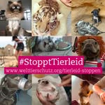 Hildegard Becker - @hildegardbecker40 - Instagram