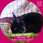 Hildegard Becker - Facebook