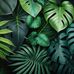 Hildegard Schmidt - Facebook