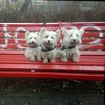 Hildegard Schmidt - @hildegard.schmidt.777 - Instagram