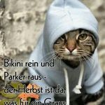 Hildegard Schmidt - @hildegard1082 - Instagram