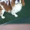 Hildegard Schmidt - @hildegard.schmidt3 - TikTok
