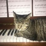 Hildegard Schmidt - @felikzdacat - Instagram
