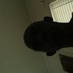 Hillard Green - @hillard.green.7545 - Instagram
