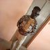 Hillary Abel S. Bwankhot - Facebook