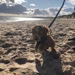 Hilary Braham - @hilarybraham - Instagram