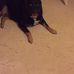 Hillary Cagle - Facebook