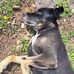 Hillary Cagle - Facebook