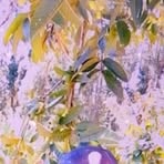 Hillary Ken - Facebook