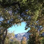 Hillary Carter-Liggett MA LMFT - @returningtoself - Instagram