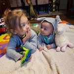 Hillary Castle - @loftycritters - Instagram