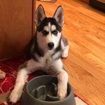 Hillary Moore-Cotton - @hillarymoorecotton - Instagram