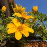 Hillary Davis - @hillarys_health_coaching - Instagram