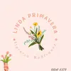 Detalles HIllary💗 - @hillary.flowers1 - TikTok