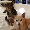 hillaryforbes2 - @hillaryforbes2 - TikTok