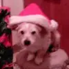 hillarygoode235 - @hillarygoode235 - TikTok