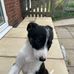 Hillary Howes - Facebook